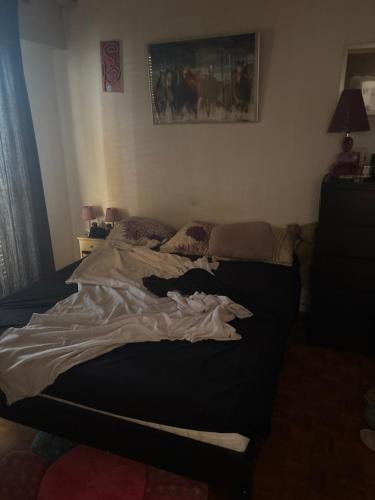 2,5 pièces montreux