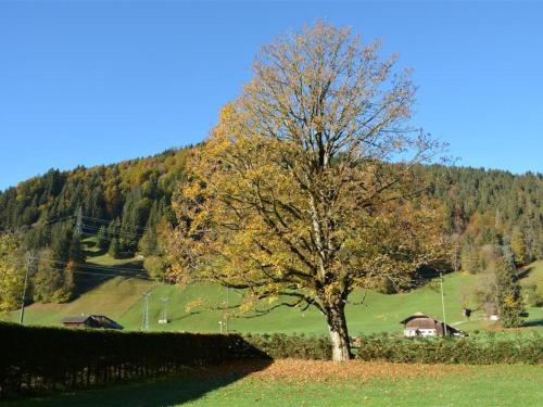 Apartment Oberland Nr- 3 Appartement-Fewo- Dusche oder Bad- WC 8-Bettwohnung by Interhome