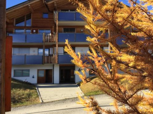 Apartment Amici 1- OG West Appartement-Fewo- Dusche und Bad- WC by Interhome