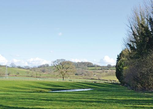 a golf course with a pond in the middle of a field at Peckmoor Farm Lodges in Misterton