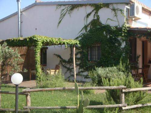 a house with ivy growing on the side of it at Il Piccolo Borgo in Montalto di Castro