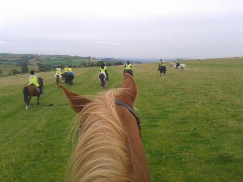 a group of people riding horses in a field at Long Mountain Centre Log Cabins in Meadowtown