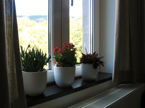 three potted plants sitting on a window sill at Le Baron Apartments in Stavelot