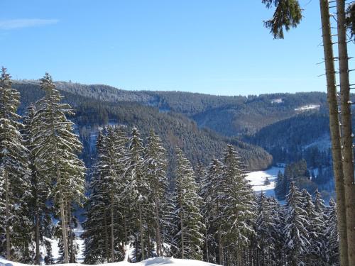 a group of snow covered trees on a mountain at "Zur Schmücke 69" in Ilmenau