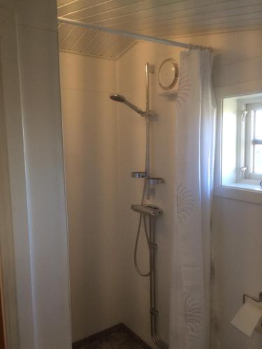 een badkamer met een douche en een douchegordijn bij Lillstugan Falköpingsvägen in Broddetorp