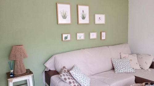 Aloe