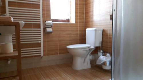 a bathroom with a toilet and a window at Chata u Tří Sluk in Modrava