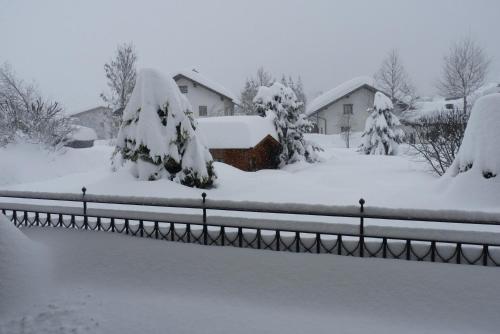 a yard covered in snow with trees and houses at Haus Maria Leiter in Sillian
