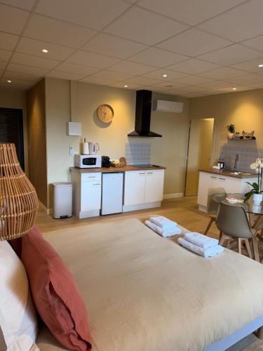 Suite du Spa 5 - Parking Privé Gratuit à Reims