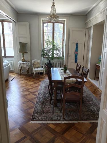 Spacious unique 150m2 apartment Geneva city center
