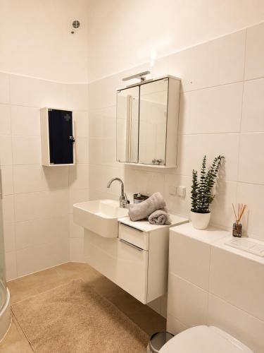 Stadtquartier Baden operated by HostGuides