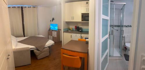 Félibriges Apartment Cannes