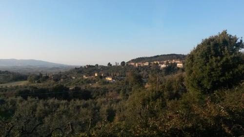 a view of a hill with trees and houses at Casa di Giulia (Bambini gratis fino a 6 anni) in Santa Luce