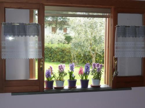 a window with a bunch of flowers on a window sill at 'O Chalet in Pozzuoli