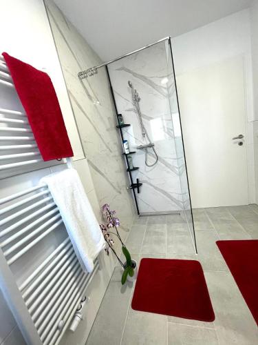 Zentrale Wohnung in Linz mit gratis Parkplatz