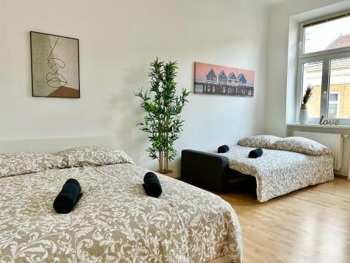 Central Stylish Apartment with Free Parking