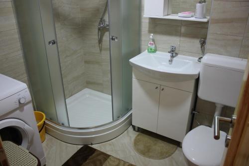 a bathroom with a shower and a sink and a toilet at Apartments Zoni in Vlasic