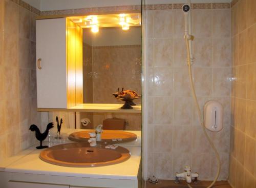 a bathroom with a sink and a shower with a mirror at Hôtel Au Bord du Monde in Neuvy-sur-Barangeon