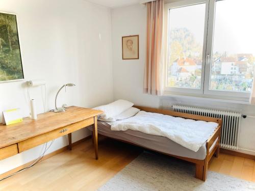 Views over Lake Constance within 5 min from city