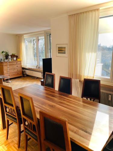 Views over Lake Constance within 5 min from city