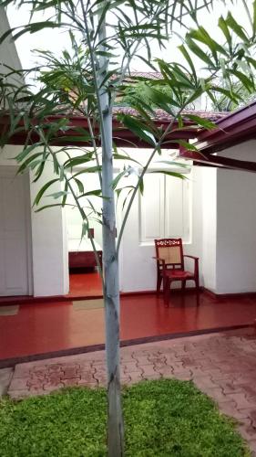 a palm tree in a room with a chair at Bon Voyaage Tourist Inn in Trincomalee