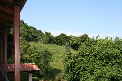 a view of a hill from a house at Guest House Al Devesio in Rifreddo