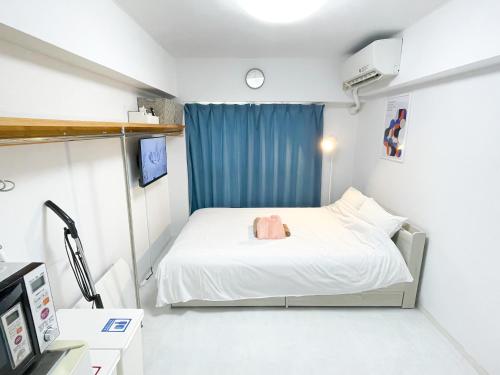 SC Hotel Kameari #1108 - Newly Renovated High Floor City View Near Station Mall Disney Access