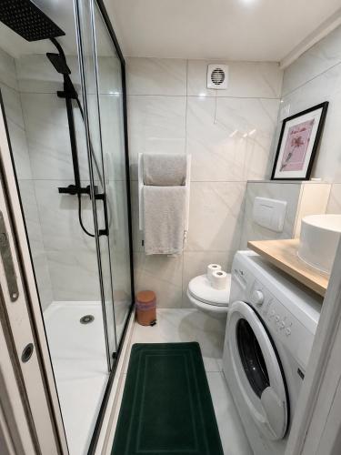 Studio Penthievre Champs Elysée