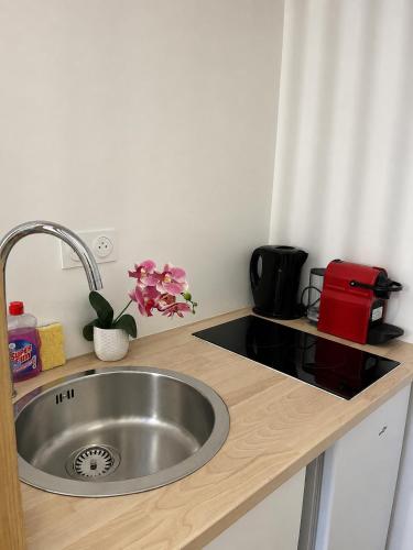 Studio Penthievre Champs Elysée