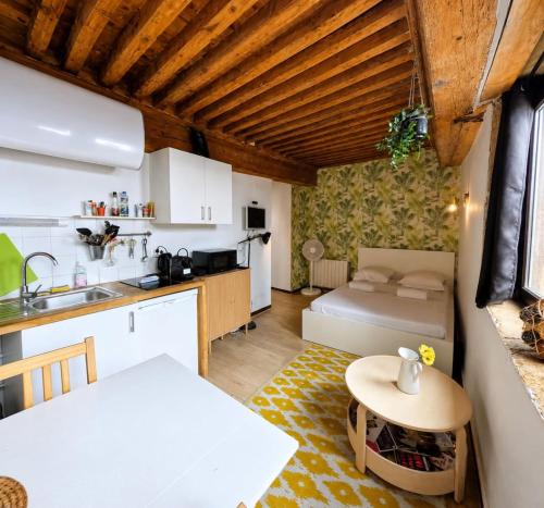 Charming 21m studio - Opéra & Terreaux Lyon