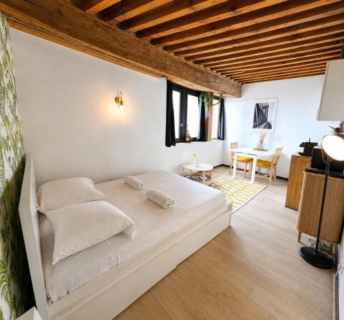 Charming 21m studio - Opéra & Terreaux Lyon