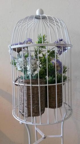 a bird cage with some plants in it at Les Suites in Santa María de Palautordera