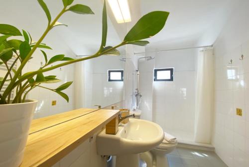 Live in Athens, PSYRRI Central Apartments