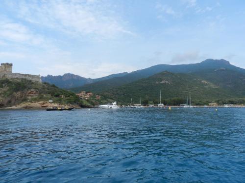 Φυσικό τοπίο κοντά σε αυτό το διαμέρισμα