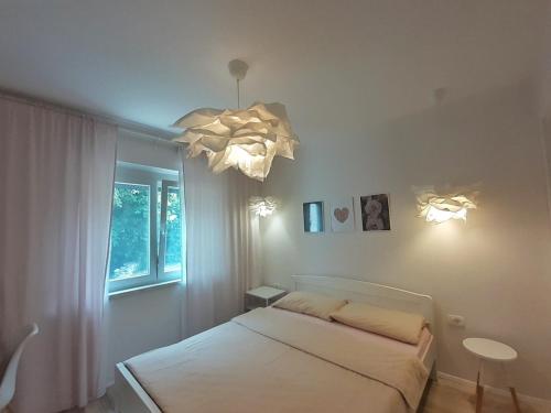 Apartments Vesel