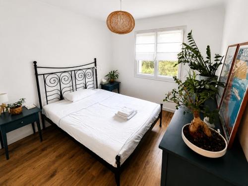 Your Peaceful Cannes Home - Comfort, AC & Free Parking