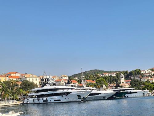 Scatolina House