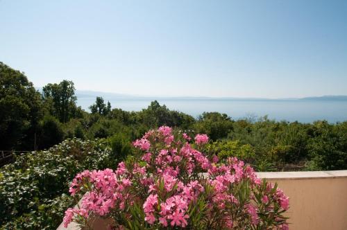 Apartment in Opatija 15672