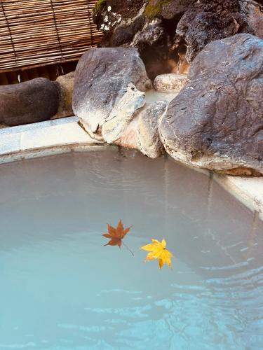Fuji-Hakone Guest House