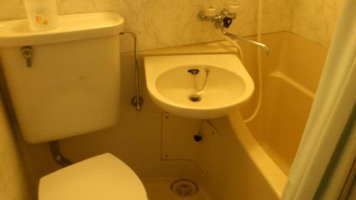 a small bathroom with a toilet and a sink at Business Hotel Motonakano in Tomakomai