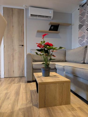 Mobil-home spacieux de 3 chambres