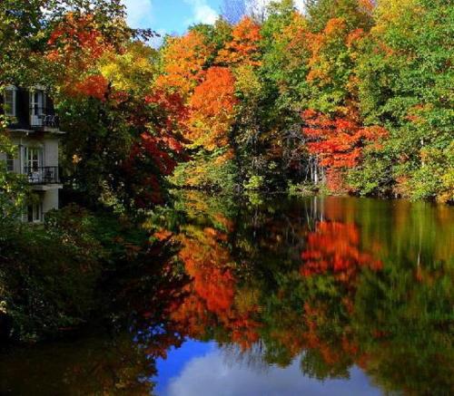 a reflection of trees in a lake with autumn colours at Benmiller Inn & Spa in Goderich