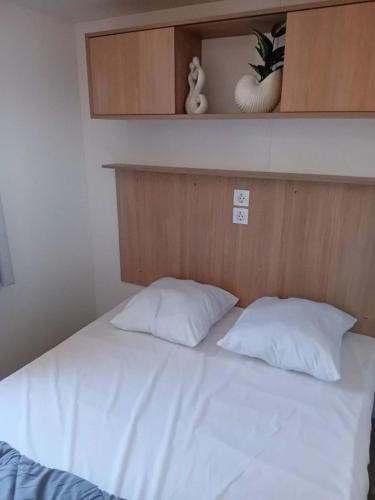 Mobil-home 3 chambres 2 SDB