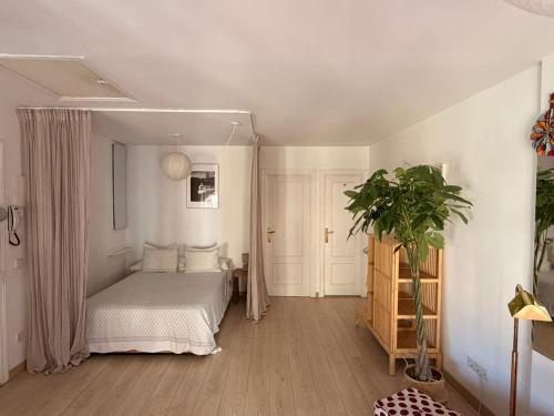 Lovely studio con balconcitos