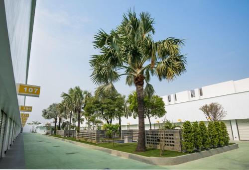 台南市にあるM ガーデン ビジネスホテルの建物前のヤシの木