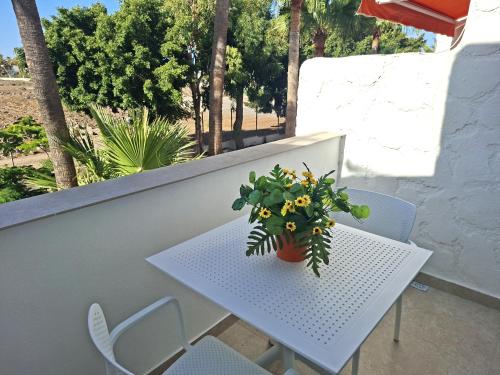 MANUEL PLACE - Chaparral Complex Fase II