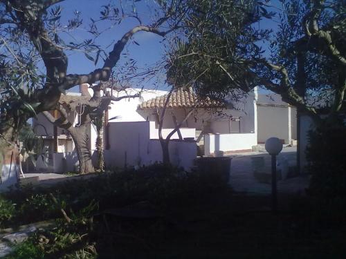 a white house with a tree in front of it at B&B Pacheco in Paceco