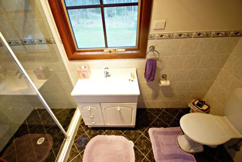 a bathroom with a sink and a shower and a toilet at Manzanilla Ridge in Rothbury