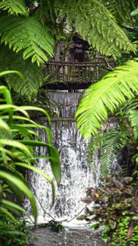 Naturlandschaft in der Nähe des Ferienparks