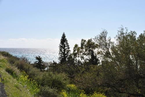a view of the ocean from a hill with trees at Chouzourakis Studios in Keratokampos